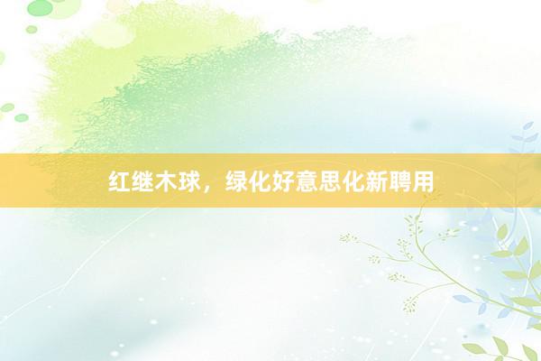红继木球，绿化好意思化新聘用